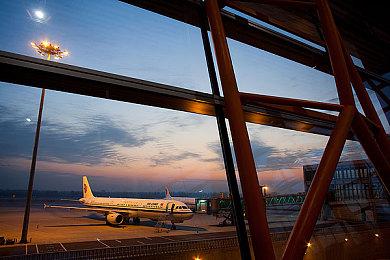 《野狼谜踪》周年版正式推出 好评如潮孤狼生活模拟